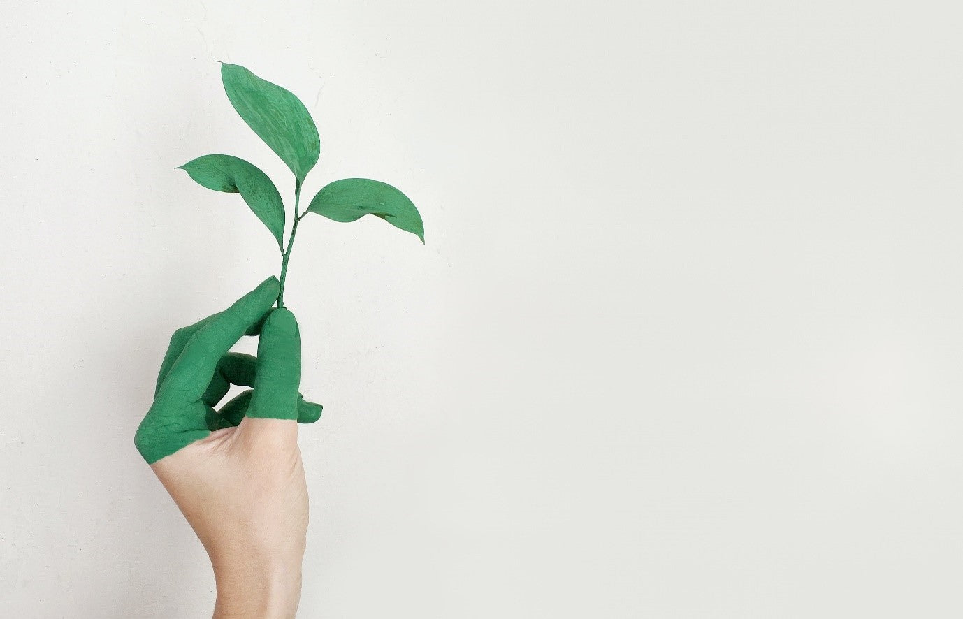 Epona Co.'s Journey: The Ultimate Guide to Our Eco-Friendly Business Practices