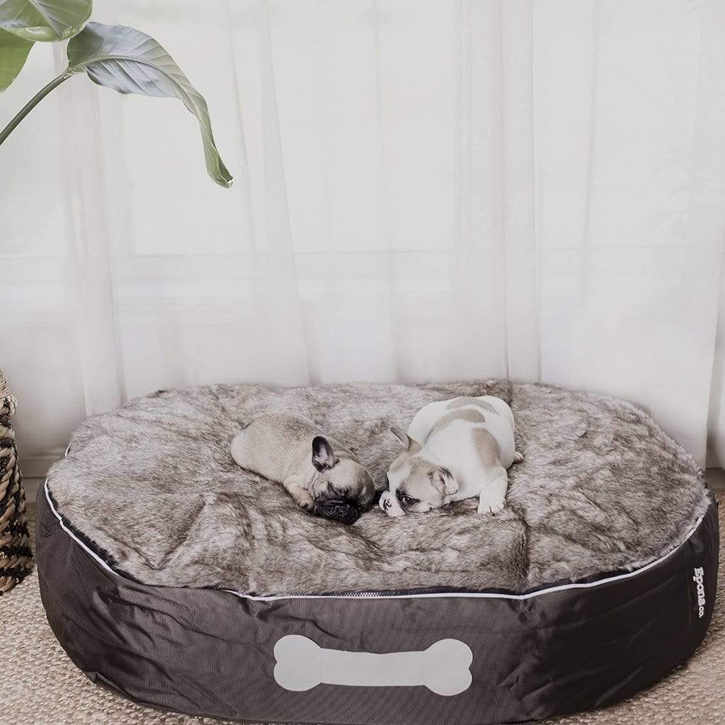 [Premium Indoor and Outdoor Lifestyle beanbags] - Epona Co. Lifestyle Bean Bags