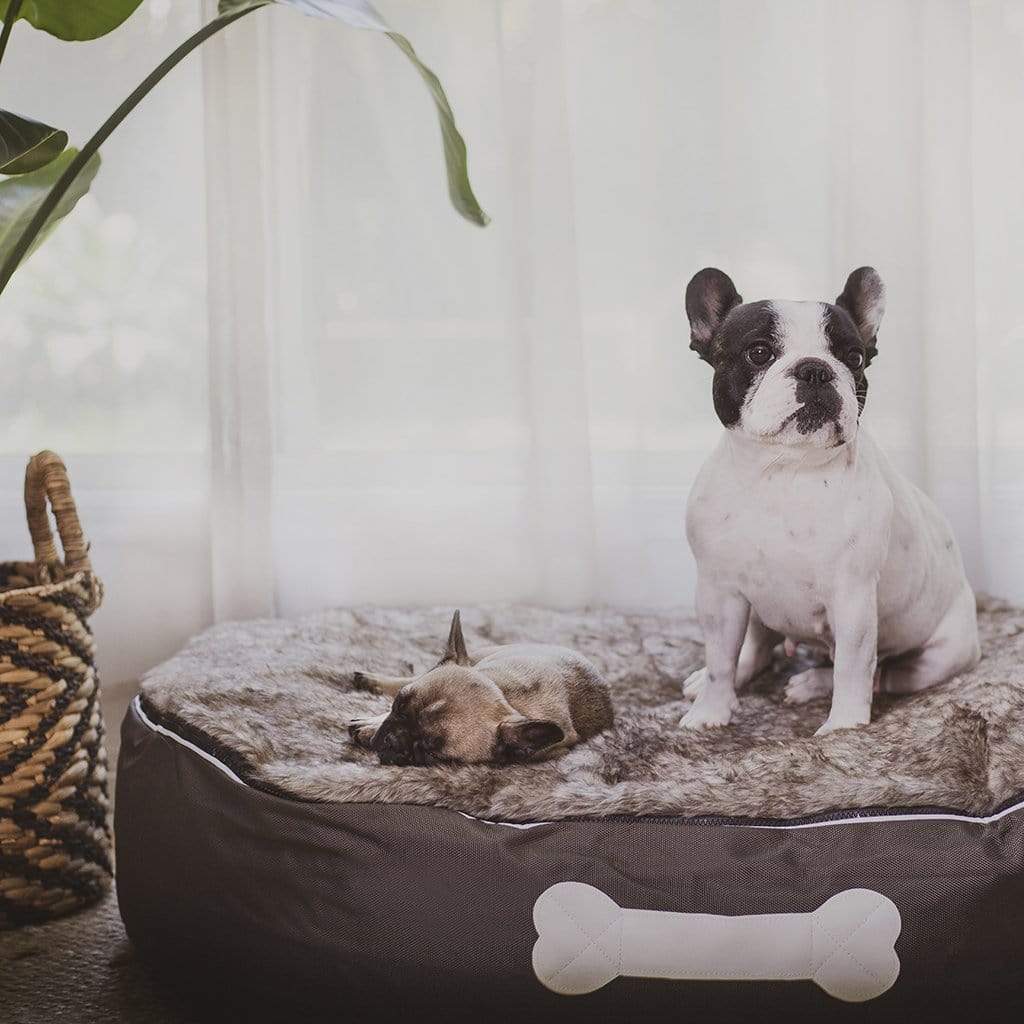 [Premium Indoor and Outdoor Lifestyle beanbags] - Epona Co. Lifestyle Bean Bags